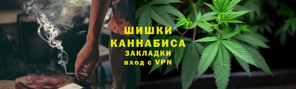 PSILOCYBIN Новодвинск