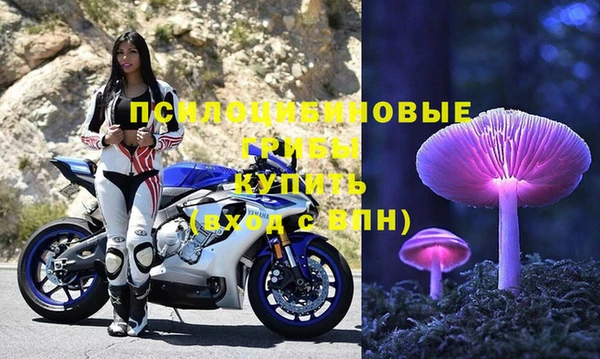 PSILOCYBIN Новодвинск