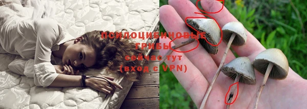 mdpv Нефтекумск