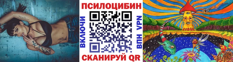 цены   hydra tor  Псилоцибиновые грибы Psilocybine cubensis  Петровск-Забайкальский 